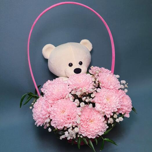 Хризантема в корзине с Медвежонком