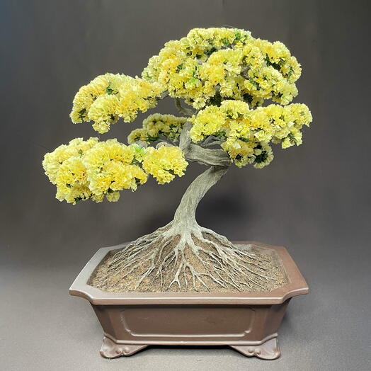 Бонсай из стабилизированных цветов