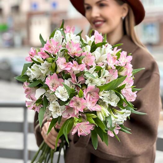 Альстромерия нежная 15 шт