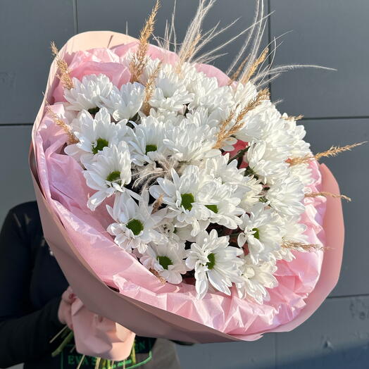 Белые хризантемы ромашки 🎀