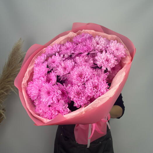 7 пушистых розовых хризантем 💕