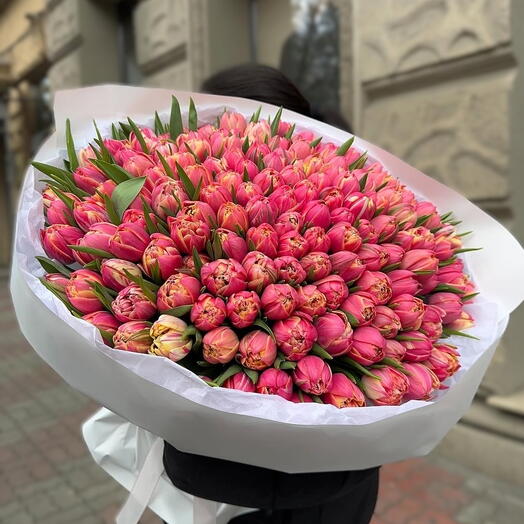 Букет из 151 розового тюльпана