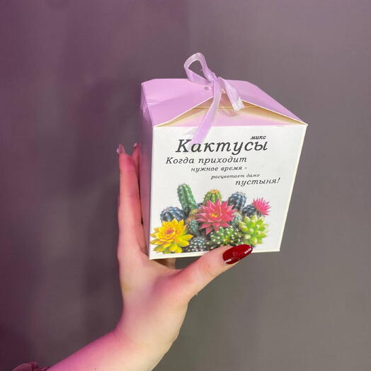 Набор для выращивания кактусов🌱
