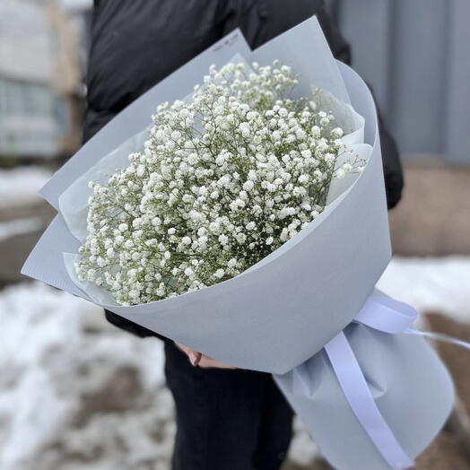 Моно букет с гипсофилой в мягкой упаковке