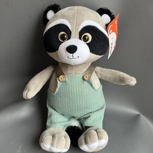 Енот Джо в комбинизоне🦝