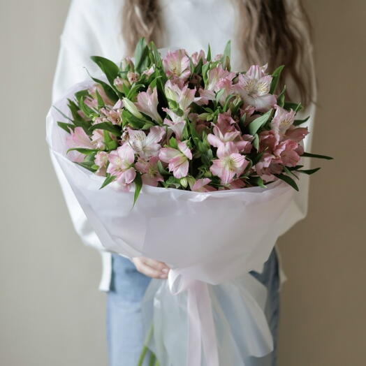 Pink Alstro