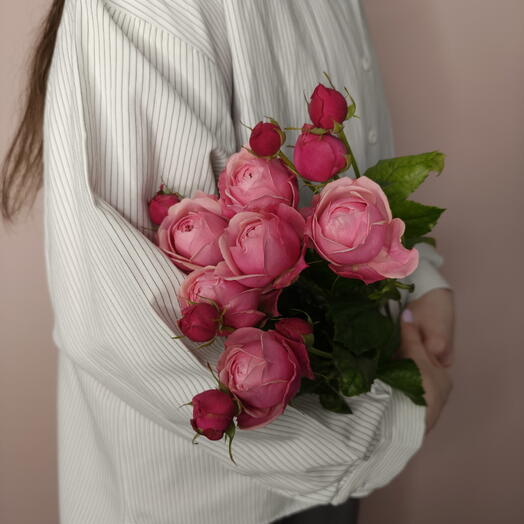 Кустовая пионовидная роза Сильва Пинк 🌹