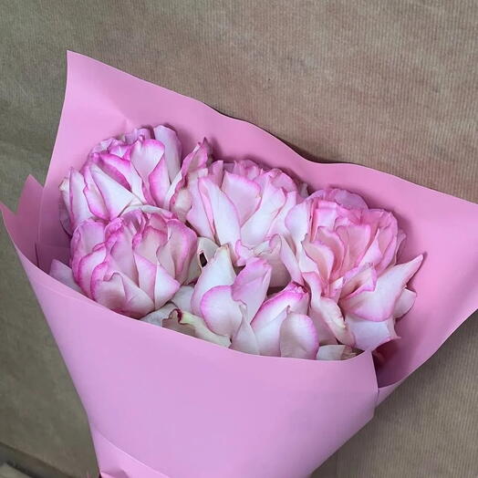 Франция в розовом(5шт.)
