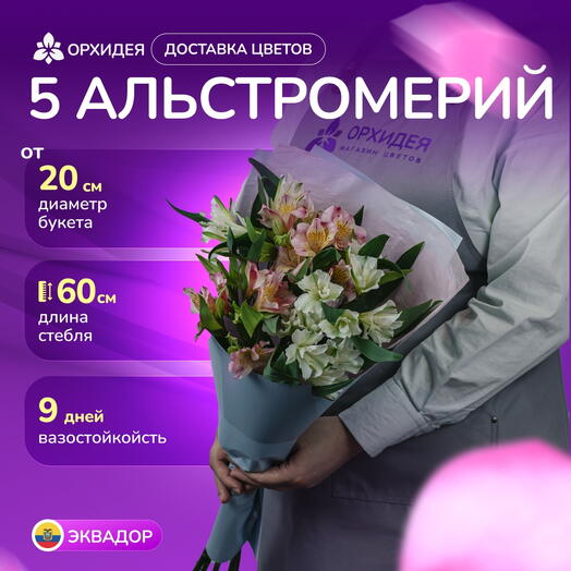 Букет 5 Альстромерий микс