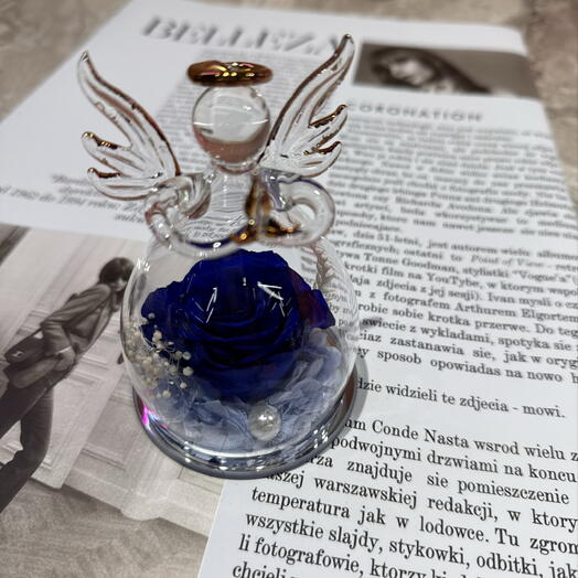 Роза синяя «Ангел»