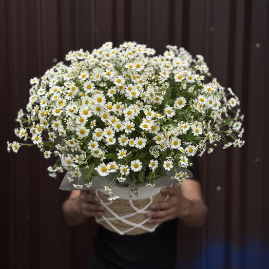 «Майская любовь»