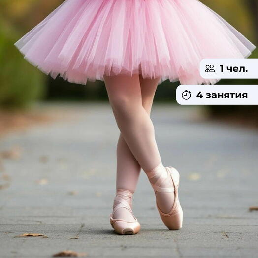 На пуантах к мечте.  Курс занятий в балетной студии