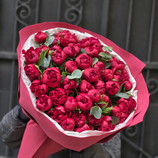 51 красный пион