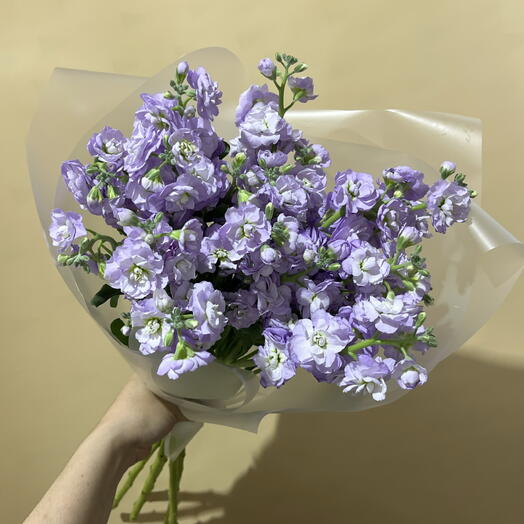 Ароматный Маттиола 💜