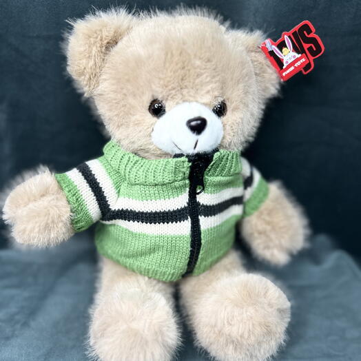 Плюшевый Мишка 🧸 ( салатовый свитер)