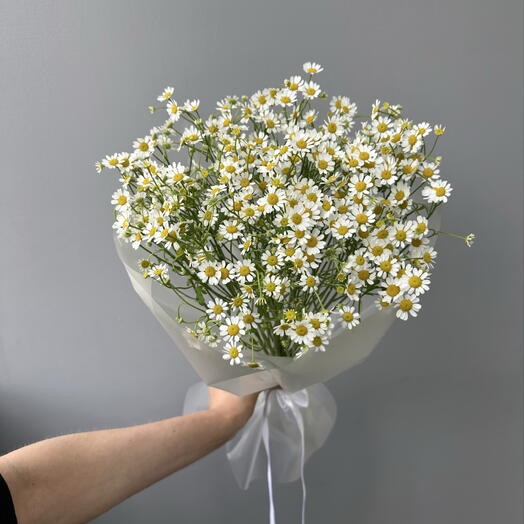 Монобукет из 7 веток ромашек 🌼