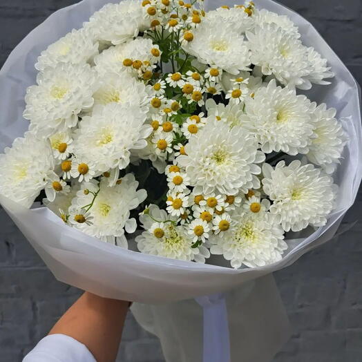 Белоснежный с ромашкой