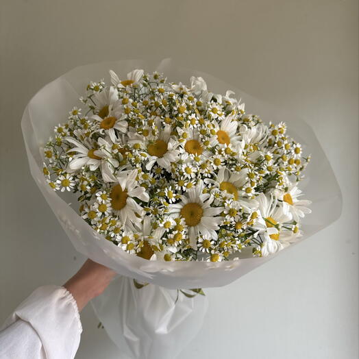 Ромашковая симфония 🌿