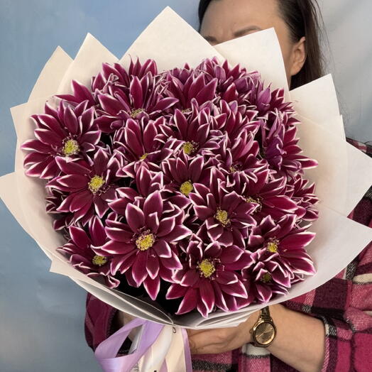 Пестрые хризантемы