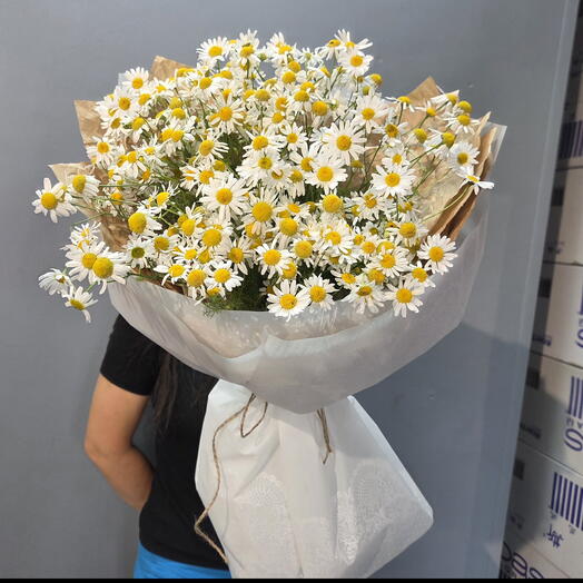 Букет из ромашек в белой упаковке