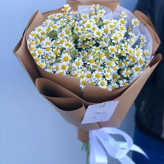 Моно ромашки для милашки