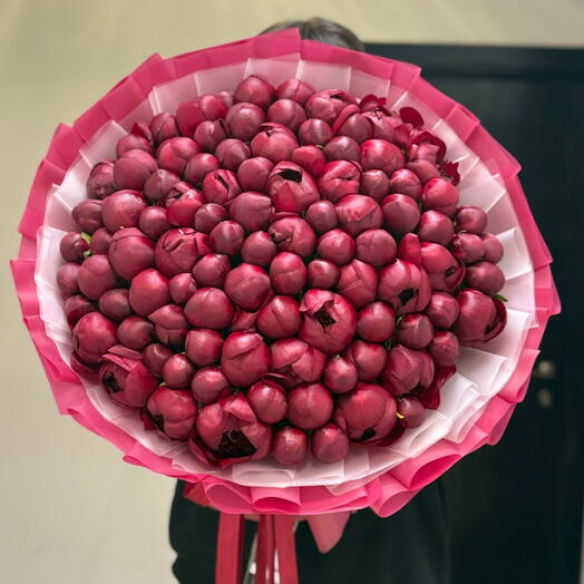 Бордовые пионы Отборные