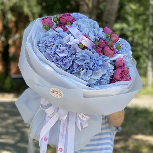 Мечта любой