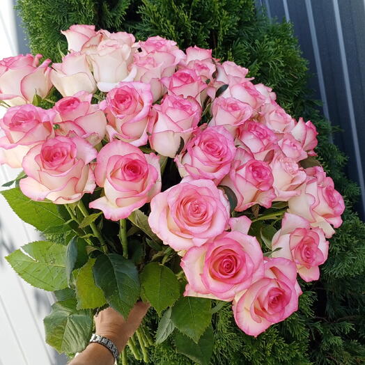 Джумилия 35 роз🌹