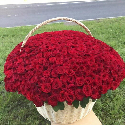 PREMIUM BOUQUET 💎 501 роза в корзине