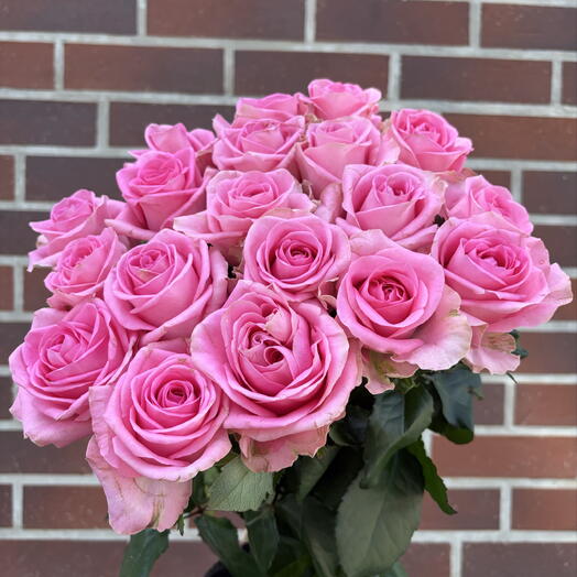 💗Пленительная Нежность💗