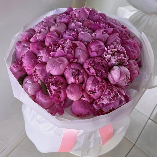 Peony XL