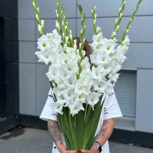 Белоснежные гладиолусы🕊️