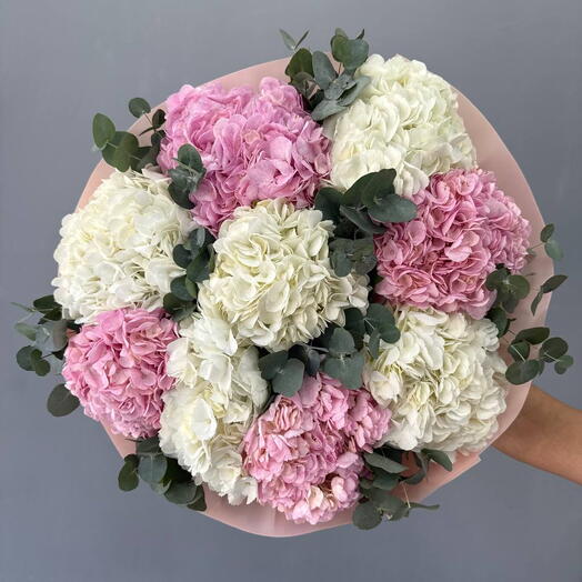 Maison Pink and White Hydrangea💗