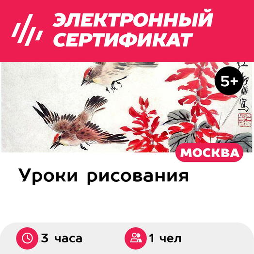 Подарочный сертификат Мастер-класс Китайская живопись гохуа, 1 чел. в составе группы (3 часа)