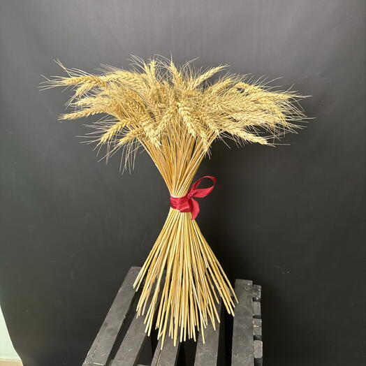 Колоски пшеницы