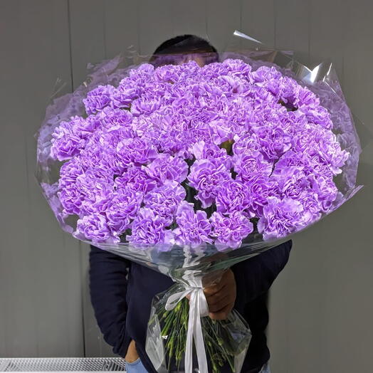 Фиолетовые гвоздики 51 шт