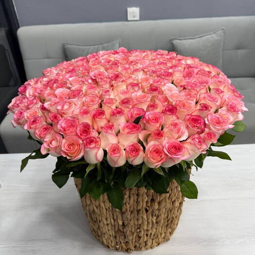 🌹 Maison Rosier