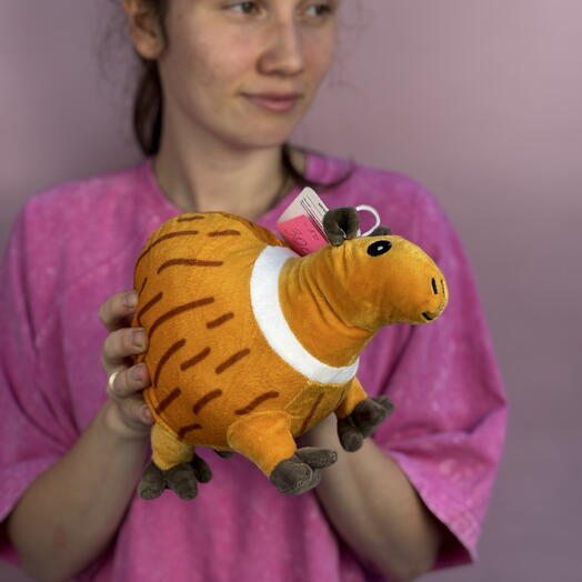 Игрушка капибара