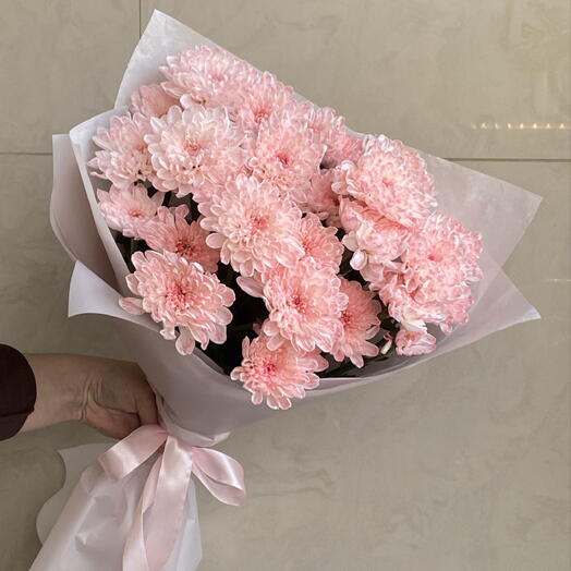 Нежные хризантемы 🌸