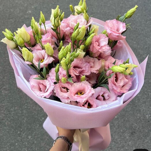 Pink Eustoma