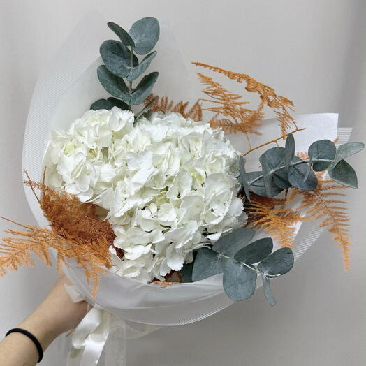 Sea flowers