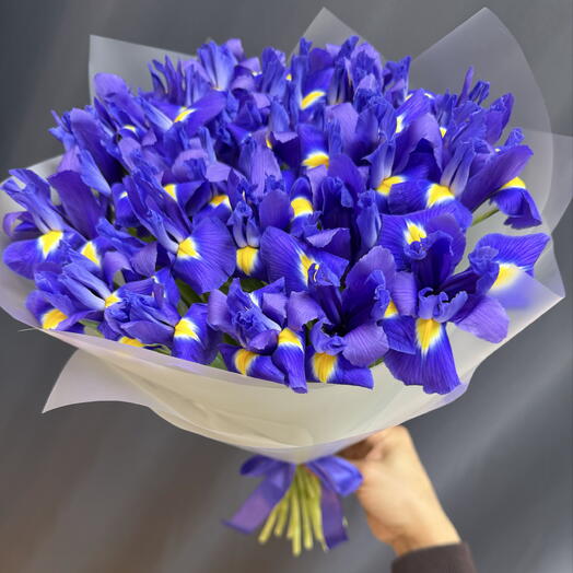 Ирис Blu Magic L фиолетовый букет