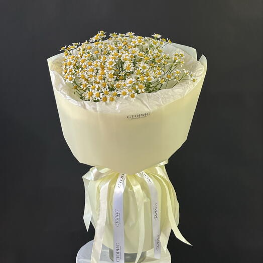Мини ромашки
