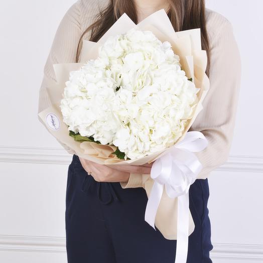 3 Hortensias Blancas
