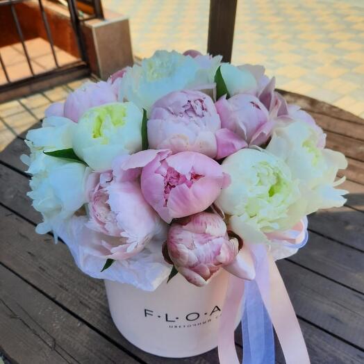 Peonies in a box