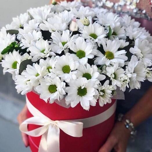 Flores en una Caja de"fragancia de manzanilla"