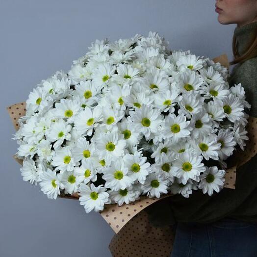 Crisantemo arbusto 13 ramas