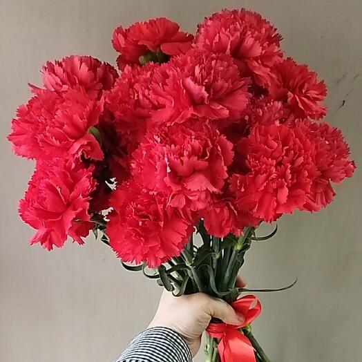 "Гвоздика"