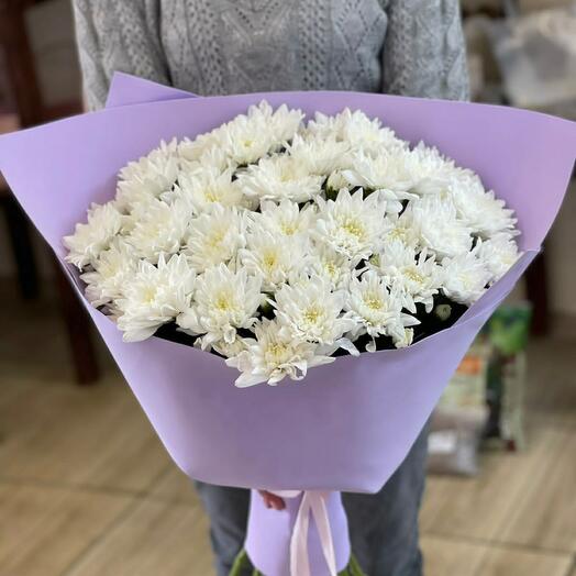 Delicate chrysanthemum