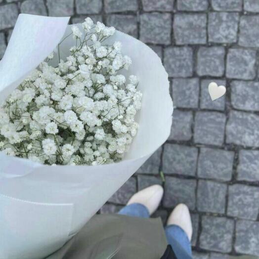Gypsophila blanca en paquete
